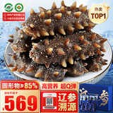 大鲜田大连有机即食海参3斤/30-48只固形物超85%辽刺参滋补礼盒源头直发