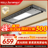 金贵夫人电动晾衣架升降阳台家用隐形晾衣杆伸缩晒衣架自动隐藏智能晾衣机 黑A10-S+小屏照明