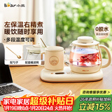 小熊（Bear）迷你养生壶 办公室烧水壶电水壶煮茶壶 保温杯垫多功能花茶壶煮水壶0.8升 YSH-D08D3 