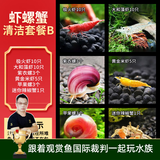 云峰海瑞鱼缸观赏虾活体虾鱼缸工具虾除藻活虾鱼缸除藻除藻虾黑壳虾五彩虾 虾螺蟹清洁套餐B（会生小虾 送尝鲜虾粮）