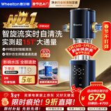 惠尔顿（WHEELTON）前置过滤器家用全自动清洗反冲洗防爆 实测超15T/h 大流量全屋净水器 自来水入户滤水智旋流P0063
