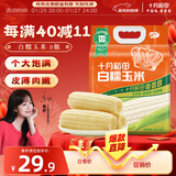 十月稻田 白糯玉米 8根 4.16斤 东北甜粘玉米 非转基因 低脂早餐