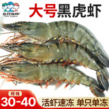 三只海豚黑虎虾大号 净重2斤 30/40规格 大虾 生鲜虾类 聚餐火锅 海鲜烧烤