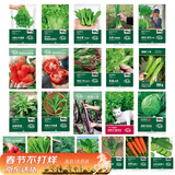 寿禾 蔬菜种子大全春四季香菜生菜西红柿辣椒草莓籽 22种蔬菜种子大全