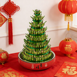 【节节高升】富贵竹塔竹盘竹8层1盆新年送人