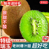 京地达陕西瑞玉绿心猕猴桃奇异果年货水果送礼4.8斤单果90g源头直发包邮