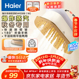 海尔（Haier）手持挂烫机18g蒸汽量120ml水箱多功能家用手持便携小型熨斗微增压大蒸汽旅游出差除菌除螨0306(W)
