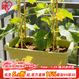 爱丽思（IRIS）种菜盆蔬菜种植箱塑料菜盆特大号阳台种菜神器户外花箱种花菜盆 【2个】中(50cm长)绿色 送隔网