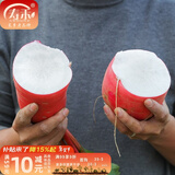 寿禾 凤梨萝卜种子红心凰梨红皮水果罗卜籽阳台庭院冬春季种植种孑 寿禾脆不糠萝卜种子20g