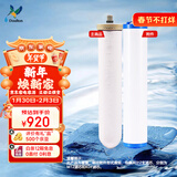 道尔顿【英国原装进口】D-CP203/DIP301净水器专用滤芯套装   M12UCC（2504型）陶瓷滤芯+KDF活性炭滤芯