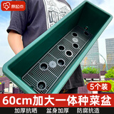 原起点 长方形种菜盆(18L)大花盆阳台塑料种菜箱懒人神器长条蔬菜种植箱 【加厚款】橄榄绿5个