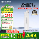 滨特尔（pentair）大白瓶前置过滤器 全屋家用自来水过滤器 前置净水器大蓝瓶 中央净水机大流量大胖瓶高精度 【20寸大白瓶】包安装