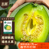 北蔬 甜瓜种子种苗绿宝石薄皮香瓜四季瓜种籽 留翠绿宝石种子约60粒