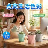 芷郁加厚多肉花盆几何加厚塑料盆栽简约办公桌面带托盘三色混装3个装