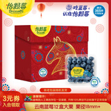 怡颗莓Driscoll's云南蓝莓Jumbo大果18mm+ 12盒装约125g/盒新鲜水果礼盒