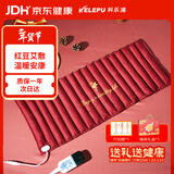 科乐浦（KELEPU）红豆包热敷包电加热家用护腰膝肩颈暖宫肚子艾灸热敷袋理疗袋