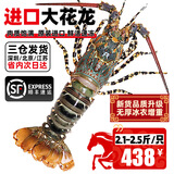 尝鲜生 进口超大花龙虾鲜活冷冻大海虾青龙虾年货送礼海鲜礼盒 精选大花龙（净重）2.1-2.5斤/只【酒席热门规格】