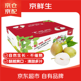 京鲜生 红香酥梨 净重5斤 单果100g+ 生鲜水果礼盒