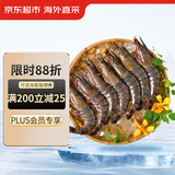 京东超市 海外直采泰国活冻黑虎虾(超大号20/30规格)净重850g 17-26只/盒