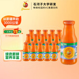 神内（GINNAI）新疆胡萝卜汁238ml*15瓶 代餐果汁饮品0脂肪饮料整箱装