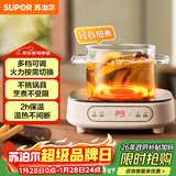 苏泊尔（SUPOR）电陶炉煮茶电磁炉家用电磁炉灶新型迷你小型简易大功率速热轻音火锅围炉煮茶炉C10-CS15
