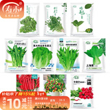 寿禾 20天鸡毛菜种子四季小青菜冬春季蔬菜小白菜油菜上海青阳台菜籽 【四季种】10种蔬菜种子套餐