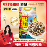 十月稻田 七色糙米 5斤 糙米饭 粗粮主食 新米 黑米 健身粥米 五谷杂粮米