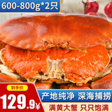 黄金面包蟹熟冻大螃蟹英国特超大鲜活海鲜水产 大号面包蟹600-800g/只*2
