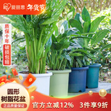 爱丽思花盆塑料圆形树脂多肉花盆种花种菜盆绿萝爱丽丝 白色口径20.3cm