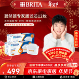 碧然德（BRITA）家用净水壶 滤水壶滤芯 MAXTRA+LE 专家滤芯 12枚装（本品加附件6个共计12个非18枚）