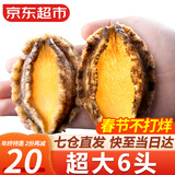 弹指鲜生新鲜熟冻大鲍鱼三去免处理鲜活冷冻贝类去内脏年货节送礼 【超大6头】不去内脏