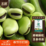 北蔬 蚕豆种子苗大胡豆早熟本地适合南北方耐寒菜籽 农家蚕豆种子500g