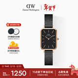 丹尼尔惠灵顿（DanielWellington）DW女士手表复古小方表轻奢小众石英腕表送女友情人节礼物DW433
