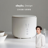 olayks立时 迷你电饭煲家用2-3人  陶瓷釉内胆煮饭锅多功能不粘锅煮粥汤智能柴火饭锅OLK-20C