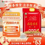 力源龙脊香米10斤 梯田大米丝苗米广西一级籼米南方长粒米 当季新米 