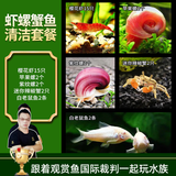 云峰海瑞黑壳虾清洁虾观赏虾活体淡水 鱼缸水族箱水草缸清洁除藻淡水宠物 虾螺蟹鱼清洁套餐