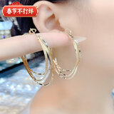 YaoYiZun大圆圈耳环女2025年新款耳钉轻奢耳饰生日礼物情人节礼物老婆 夸张耳圈925银针（代写贺卡）
