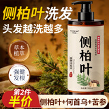 LEASCAN侧柏叶洗发水500ml 何首乌中草本药植物洗头发液控油男女脱发适用