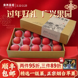广兴果园山东烟台栖霞红富士苹果水果年货节日礼盒新鲜礼品福利 一级果 85mm 15颗礼盒