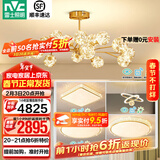 雷士（NVC）北欧现代轻奢智能网红led萤光客厅吊灯餐厅吊灯中山灯具灯饰套餐 萤光吊杆套餐【三室两厅B】