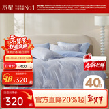 水星家纺 四件套纯棉100%全棉套件居家学生宿舍床单田园花卉风 窗棂之美【柔软全棉/条纹纹理】 40支 床单款 （被套200*230cm）