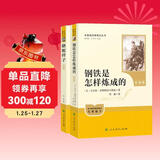 骆驼祥子+钢铁是怎样炼成的（升级版） 人教版名著阅读课程化丛书 七年级下套装（共2册）与25春新版初中语文教材配套使用（含微课，从教学角度讲解名著；含阅读笔记本，提供测评指导帮助提升整本书阅读能力）