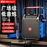 金正（NINTAUS）S91无线蓝牙音箱户外大音量广场舞音响功放一体机小型手提便携式麦克风地摊摆摊店铺