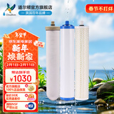 道尔顿（Doulton）净水器滤芯套装DCP203 DIP203 DIP301净水器专用滤芯 道尔顿2504M12UCC/KDF/PF等滤芯组合 DIP301滤芯套装 2504M12+KDF+PF
