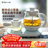 小熊（Bear）煮茶器煮茶壶 0.8L蒸汽喷淋式蒸茶壶养生壶电水壶热水壶304不锈钢烧水壶茶具黑茶ZCQ-A08E1