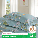 艾薇 A类枕头套纯棉家用全棉单人枕套一对枕芯套 清馨花园 48*74cm