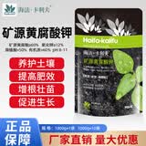 海法·卡利夫矿源黄腐酸钾出口级水溶肥料全水溶生根肥农用腐殖酸调节土壤1kg