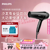飞利浦吹风机大功率家用速干大风力恒温护发 理发店专用沙龙专业级吹风筒 旗舰款 宿舍 生日情人节礼物