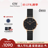 丹尼尔惠灵顿（DanielWellington）DW女士手表小众轻奢流金钢带石英腕表送女友新年礼物DW245