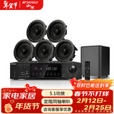 山水（SANSUI）T5 吸顶音响 5.1家庭影院 7.1声道吊顶喇叭音箱套装 无损音质 吸顶喇叭 吊顶音响 T5【5.1功放+6.5喇叭*5+8吋炮】